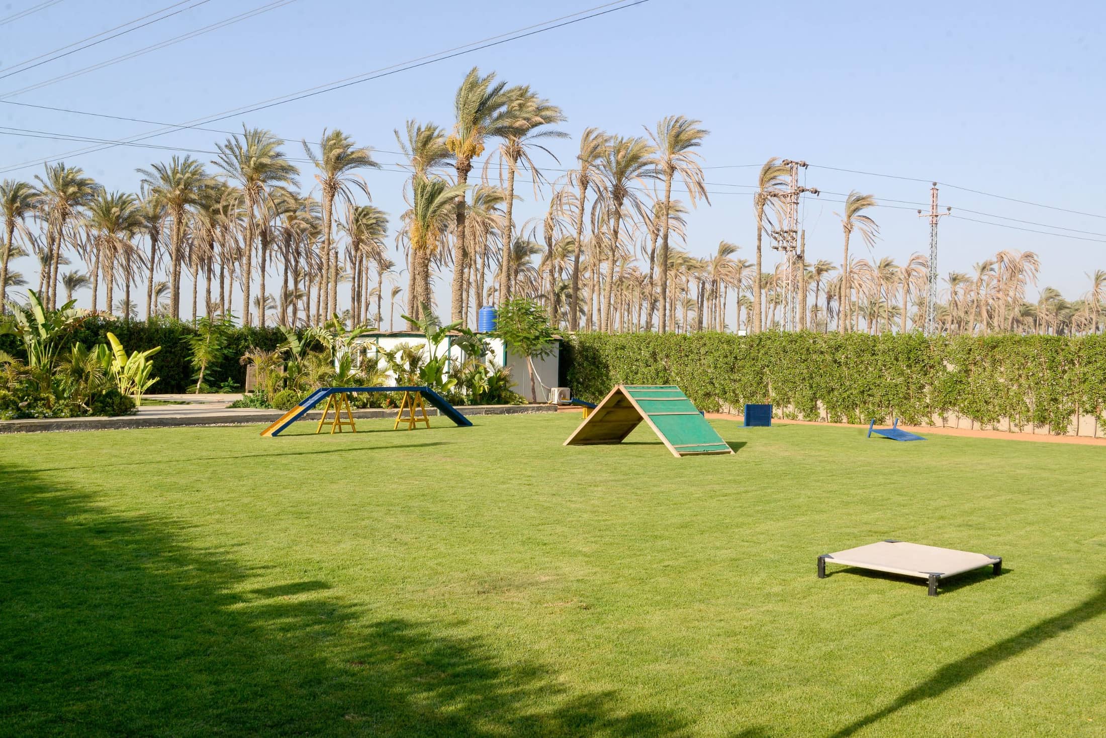 The kennel rooms at Cairo Canine Club